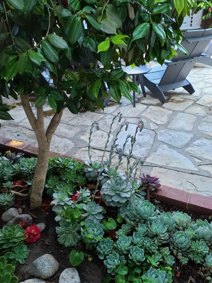 The Vagabond'S House Boutique Inn Carmel-by-the-Sea Экстерьер фото